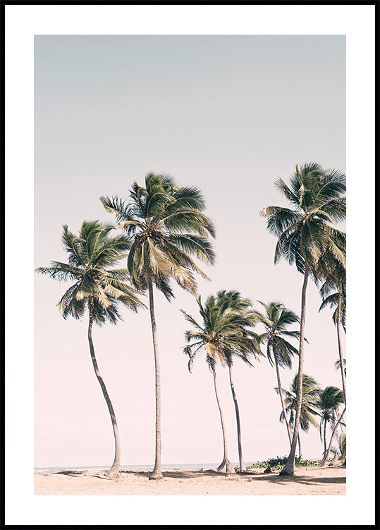 Blush Tropical Trees Poster