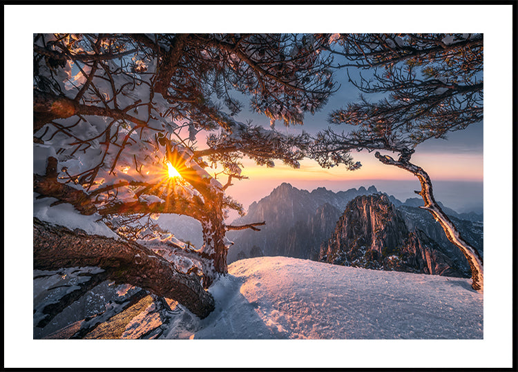 Yellow Mountain and Strange Pine after Snow Poster