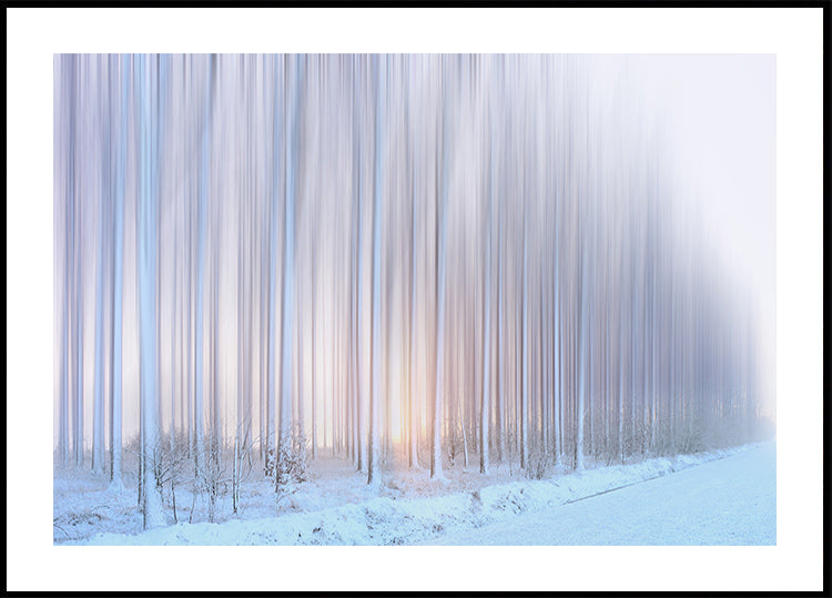 a curtain of trees Poster