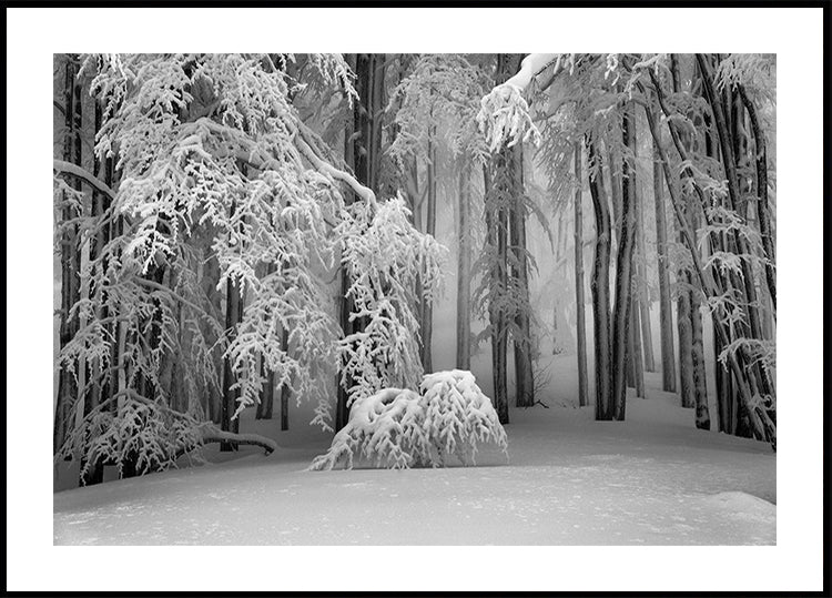 Perfect Winter Poster