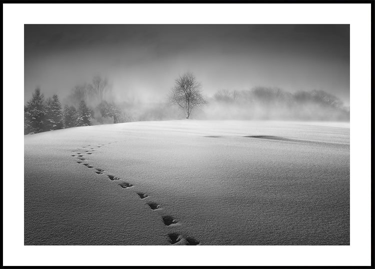 Winter scenery Poster