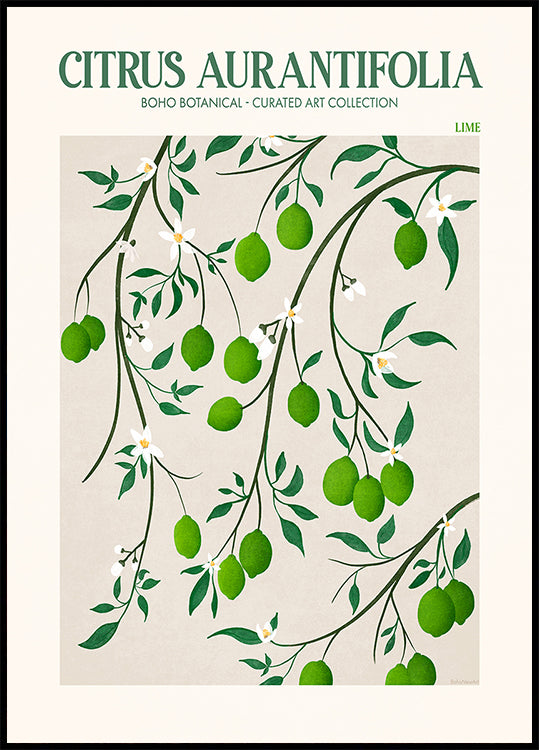 Botanical Lime Bliss Poster