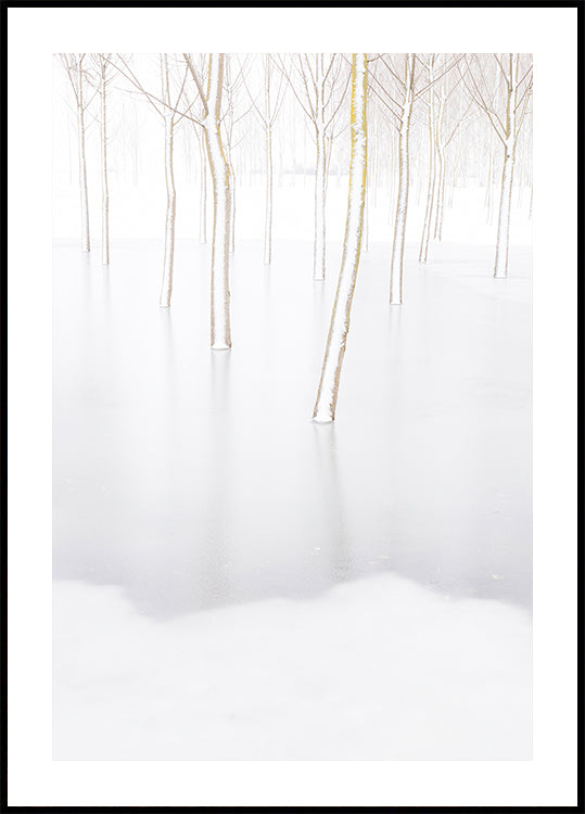 Winter Reflection Poster