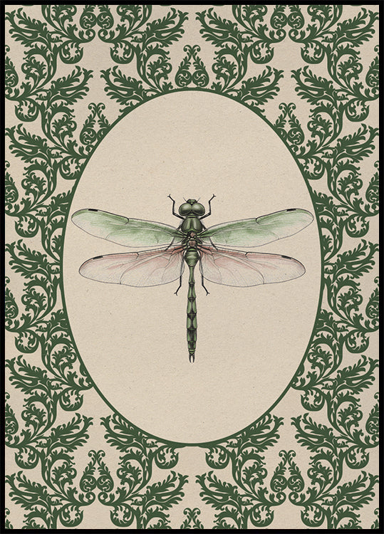 Vintage Dragonfly Study Poster
