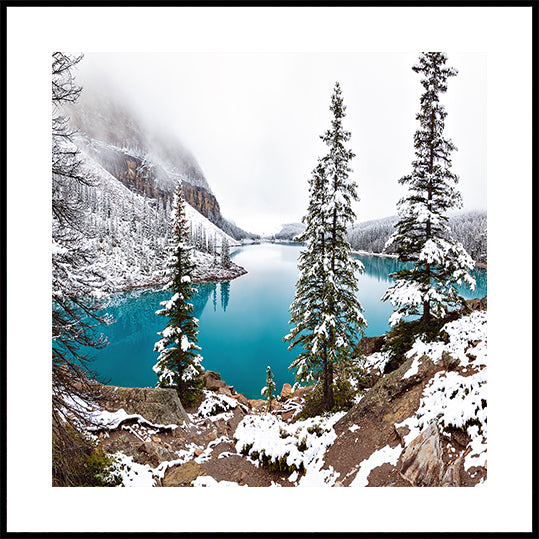 Snow at Moraine Poster