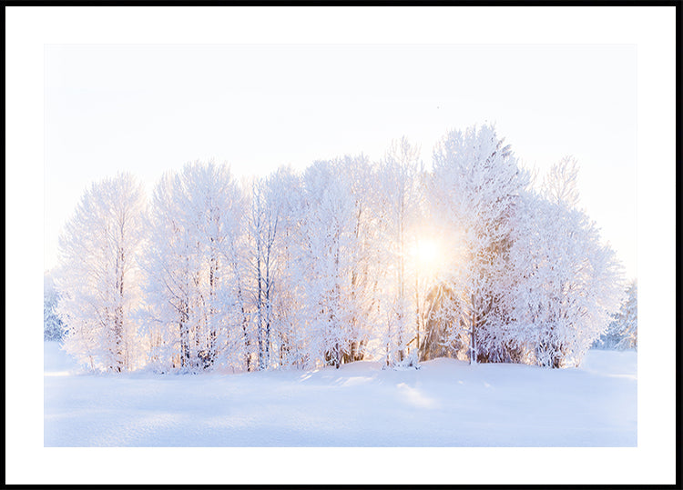 The light returns Poster