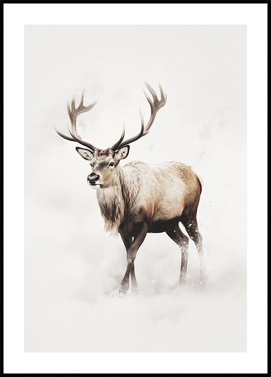 Reindeer In Snow Poster