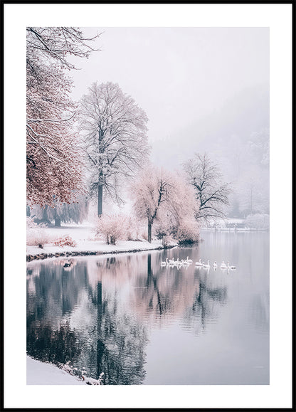 Swans on a Winter Lake Poster