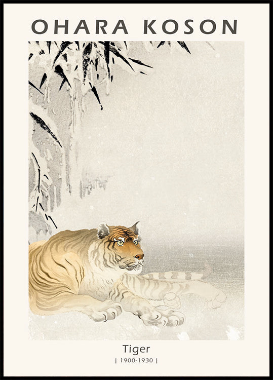 Tiger, Japanese Woodblock By Ohara Koson Poster