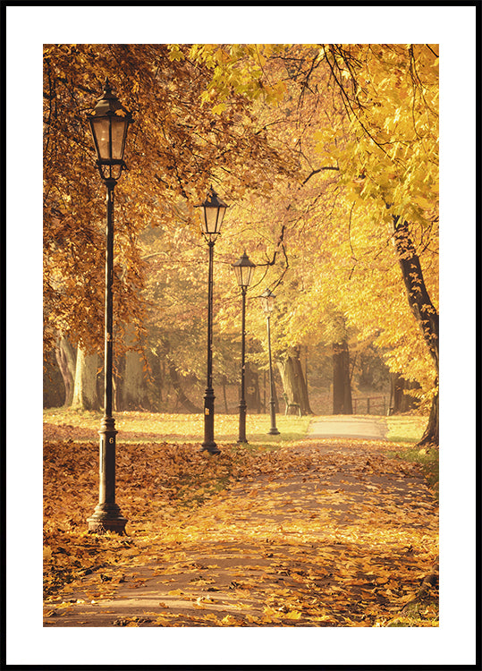 Golden Autumn Park Poster