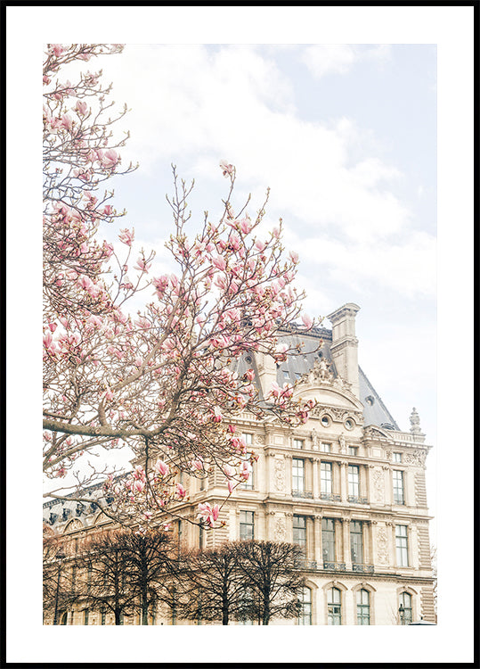 Parisspring Ratio2x3 Poster