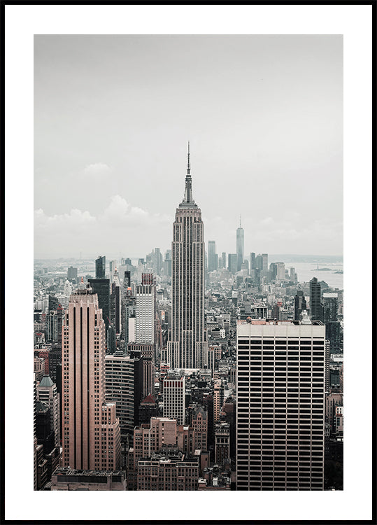 View of New York City Poster