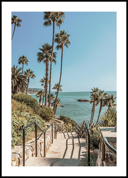 California Coastline Poster