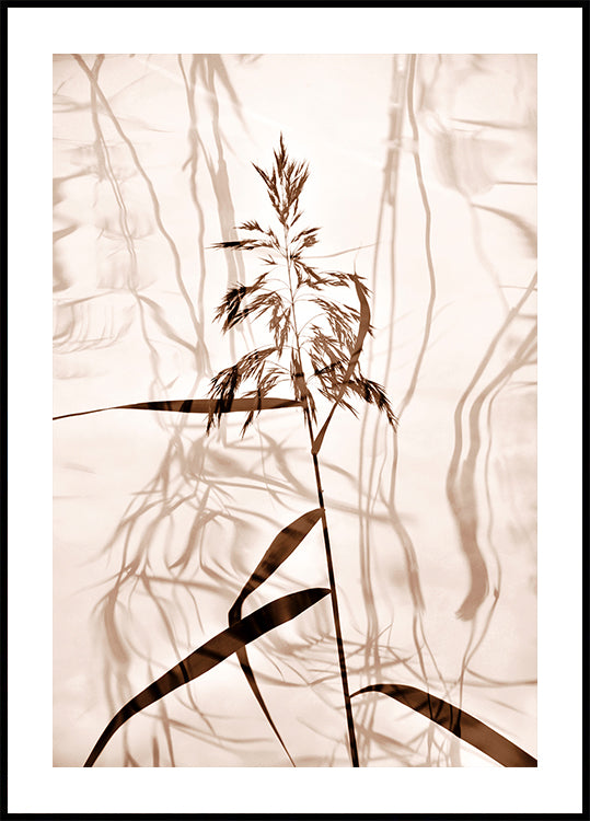 Reed reflection
