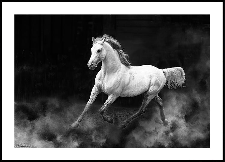 Fergana horse Poster