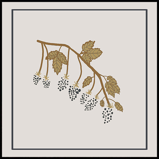 Blackberry Spring Poster