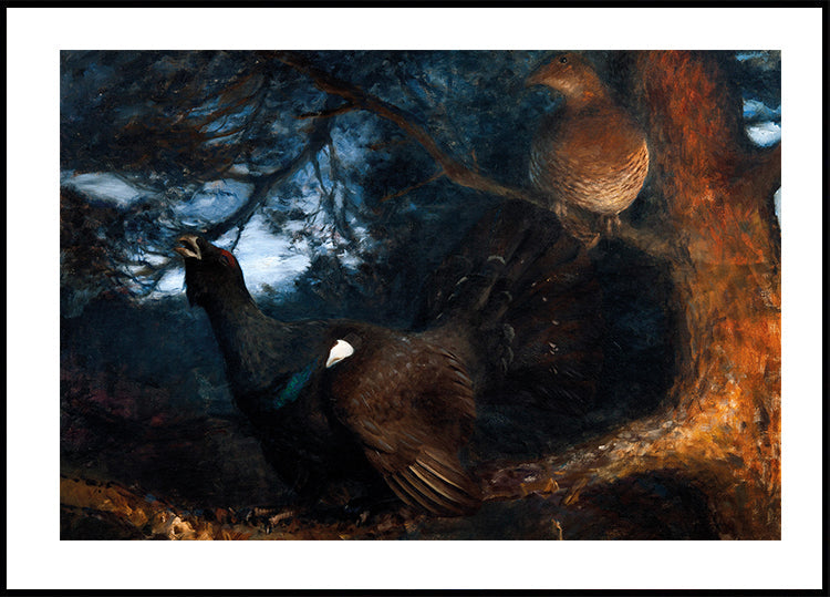 The Dance of Capercaillies Poster