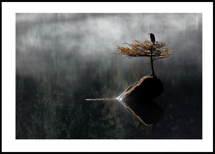 Serene Heron on Bonsai Tree Poster