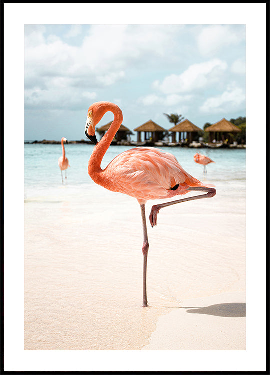 Pink Flamingo Poster