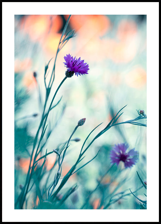 Colors game 2 Poster