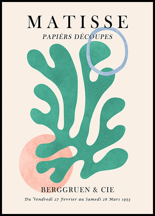 Matisse floral poster 6