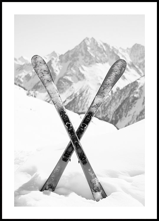 Skies Apls Black and White Poster