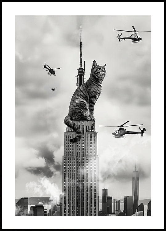 Cat on top Poster