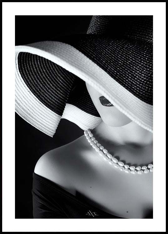 Elegance in Shadow Poster