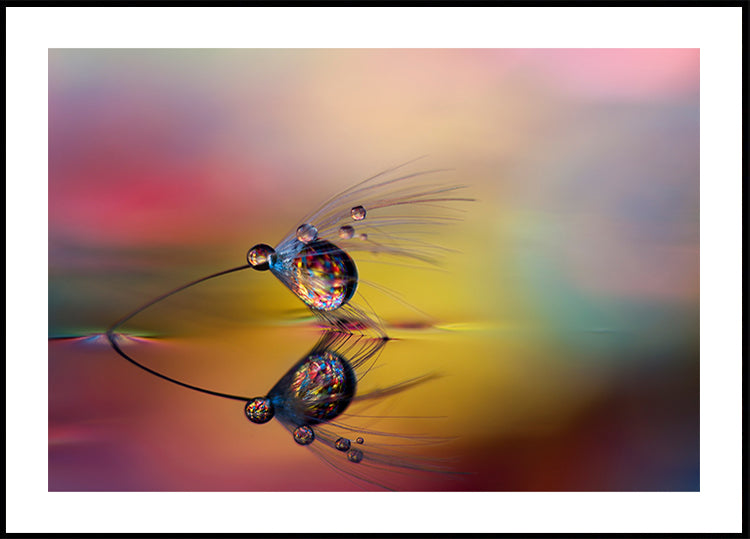 Colorize the darkness Poster