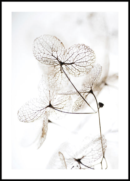 Autumn Dried Leafes №3 Poster