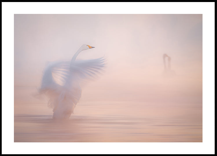 The ephemerality of distant love... Poster