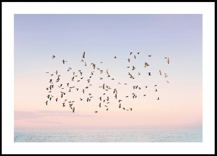 Sunset Flight Poster