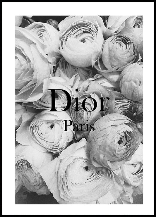 Dior Ranunculus Poster