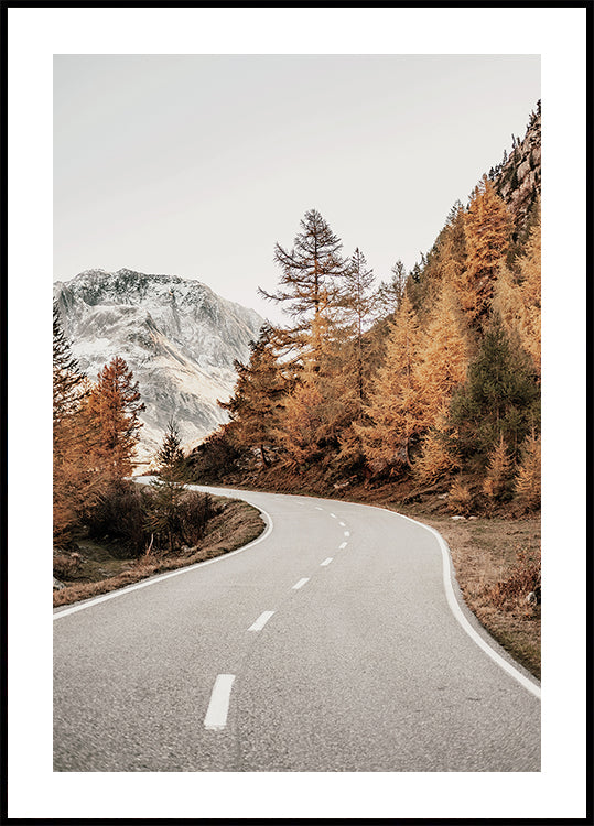 Autumn Mountain Road Poster