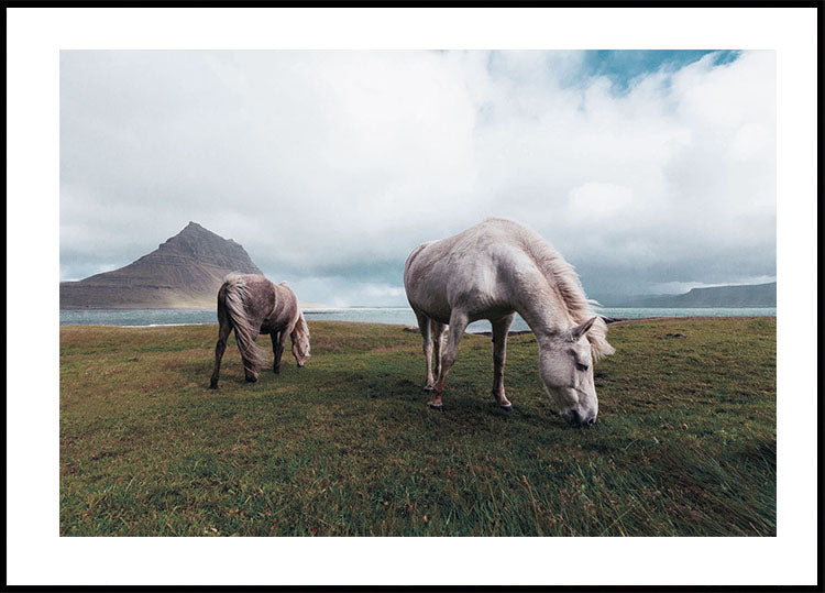 Horses Grazing Near a Lake Poster