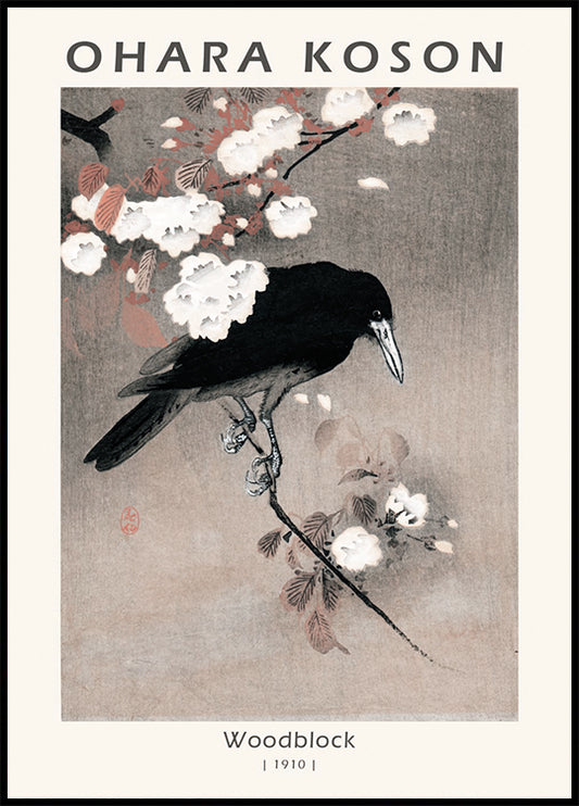 Woodblock, Crow on Cherry Blossom Branch By Ohara Koson Poster