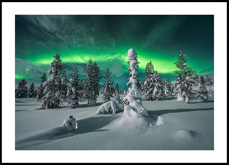 polar night