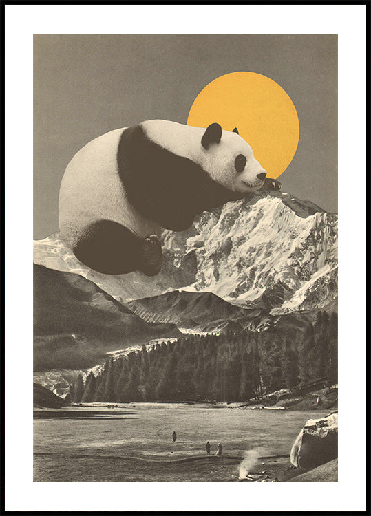 Giant Panda Nap Poster