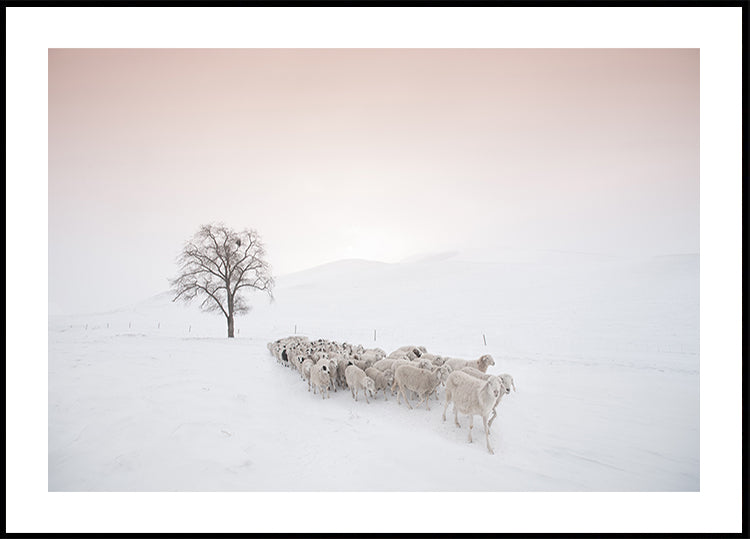 Flock looking for food Poster