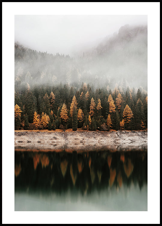 Foggy Autumn Forest Near the Lake Poster