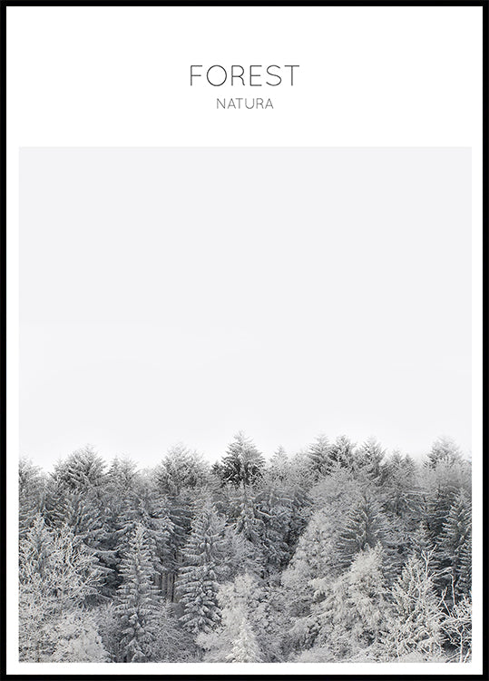 Frosted Tranquility Poster