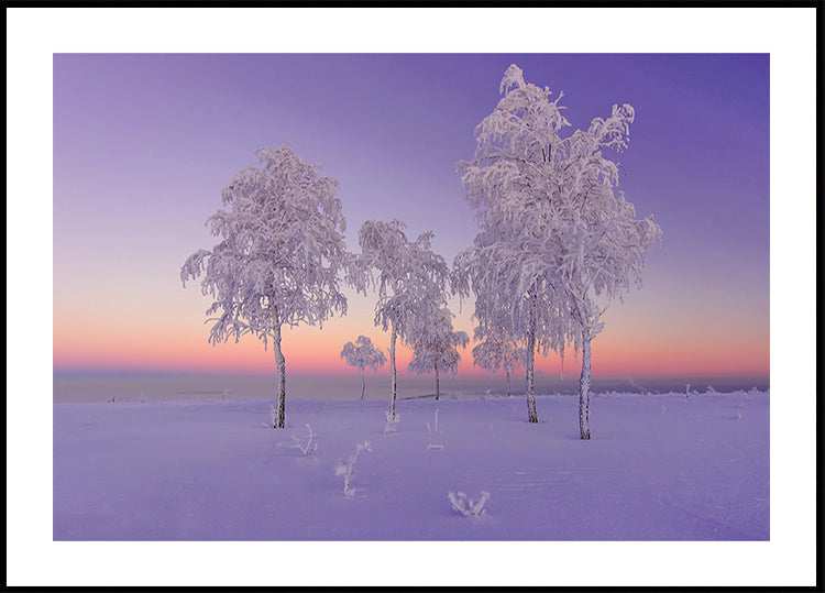 January evening Poster