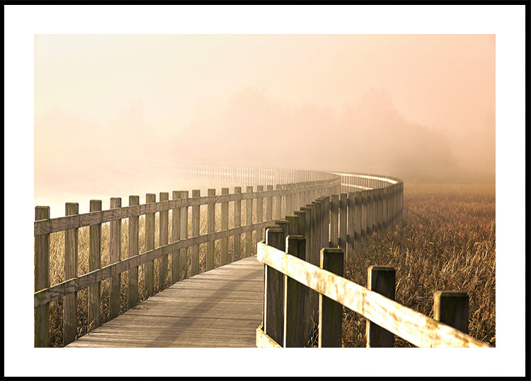 The Path gets brighter.