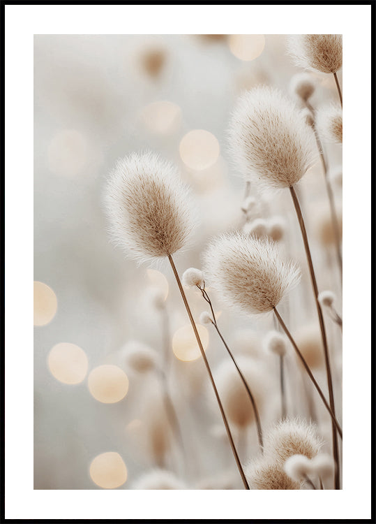 Fluffy Plant Stems Poster