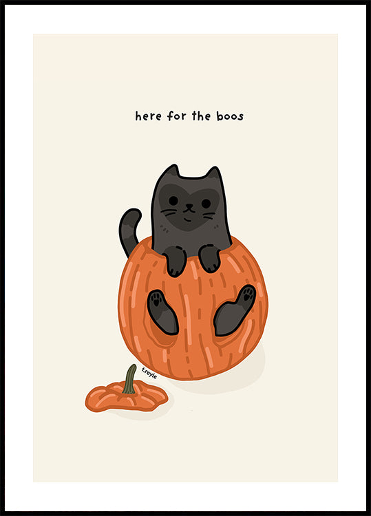 Black Cat Playfully Sitting In A Pumpkin