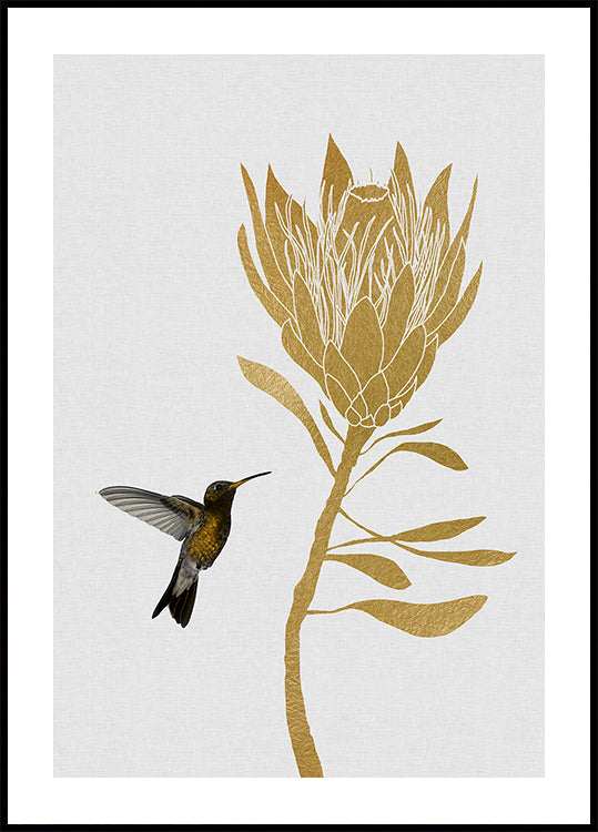 Hummingbird & Flower I