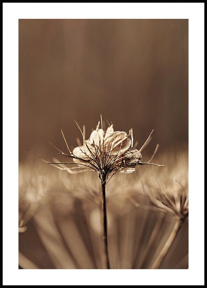 Elegance in Decay - Dried Plant Portrait Poster