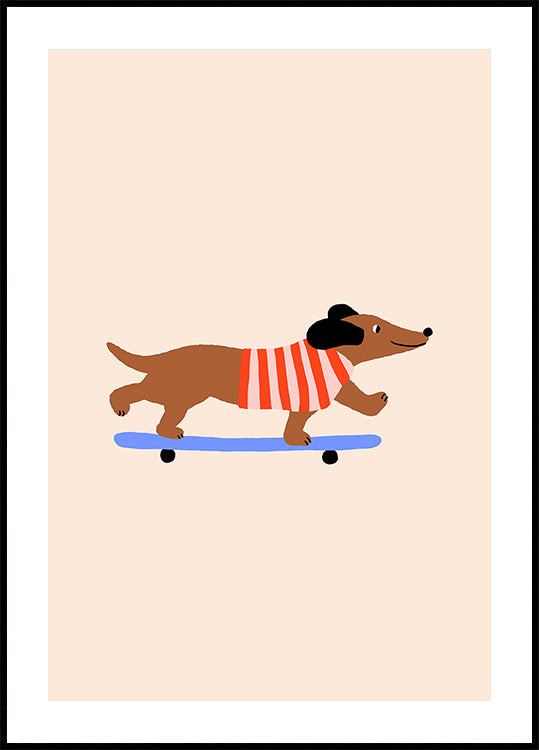 Dachshund on Skateboard Poster