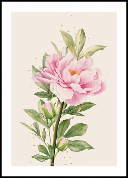 Blooming Peony Poster