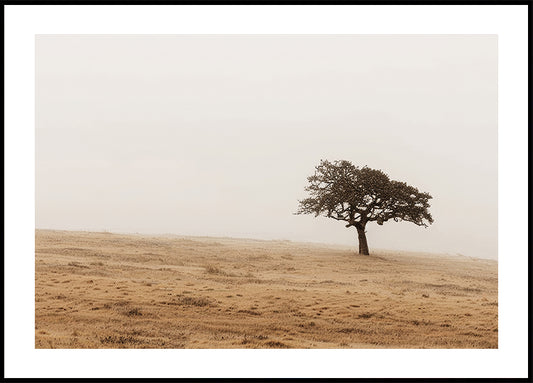 Autumn Grassy Field and Solitary Tree Poster